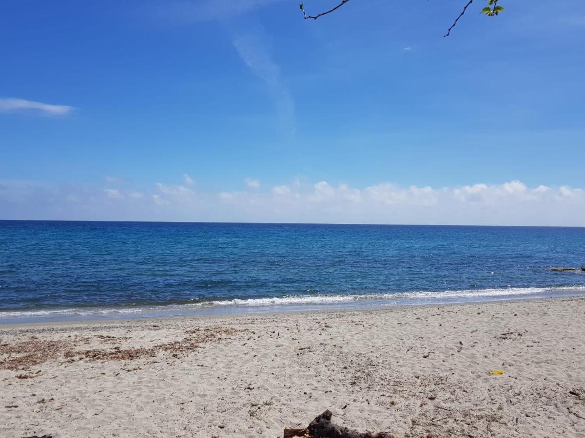 Maisons T2 Avec Jardins Privatifs - 10Mn De La Plage Et 5Mn Du Village - Casa Di I Trinelli Vescovato 외부 사진